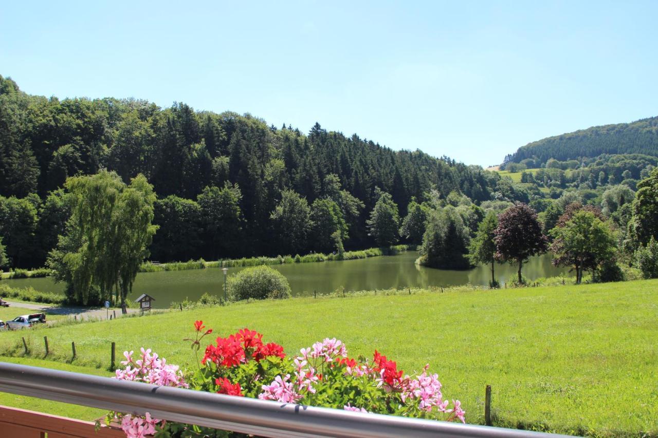 Haus Am Stryckpark Apartment Willingen  Exterior photo