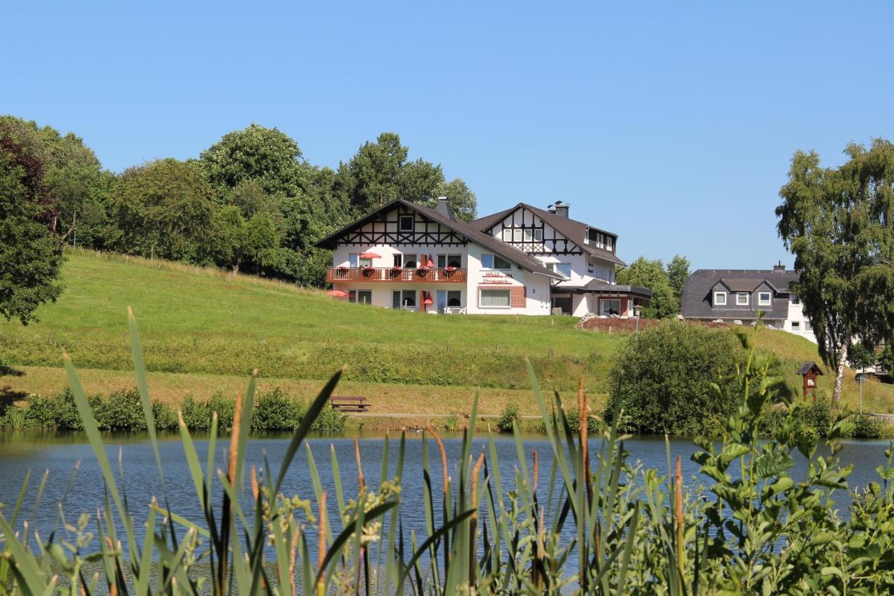 Haus Am Stryckpark Apartment Willingen  Exterior photo